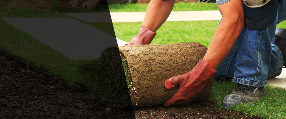 Havre De Grace Landscapers